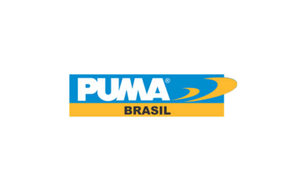assistência técnica de ferramentas Puma